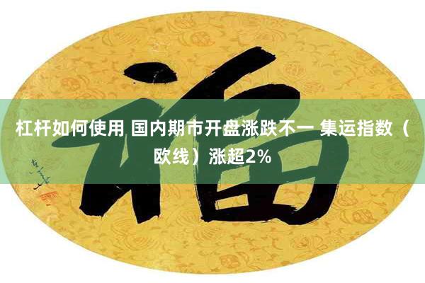 杠杆如何使用 国内期市开盘涨跌不一 集运指数（欧线）涨超2%