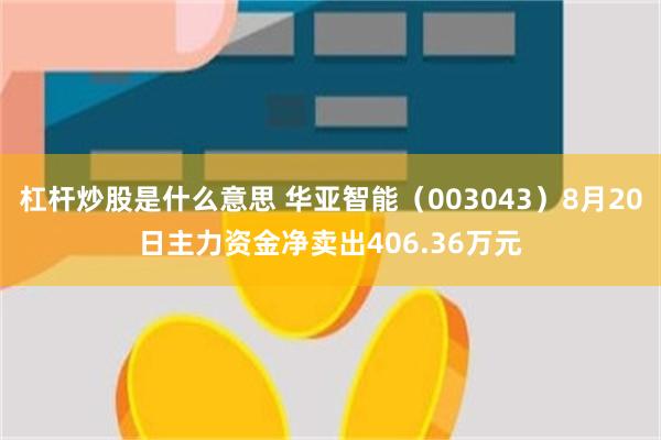 杠杆炒股是什么意思 华亚智能（003043）8月20日主力资金净卖出406.36万元