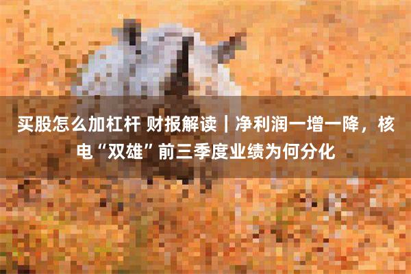 买股怎么加杠杆 财报解读｜净利润一增一降，核电“双雄”前三季度业绩为何分化