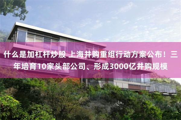 什么是加杠杆炒股 上海并购重组行动方案公布！三年培育10家头部公司、形成3000亿并购规模