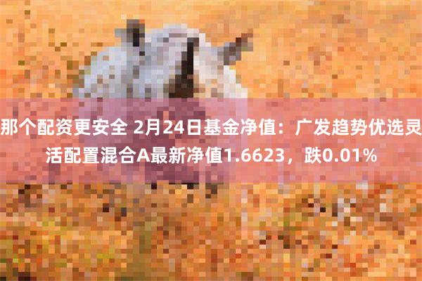 那个配资更安全 2月24日基金净值：广发趋势优选灵活配置混合A最新净值1.6623，跌0.01%