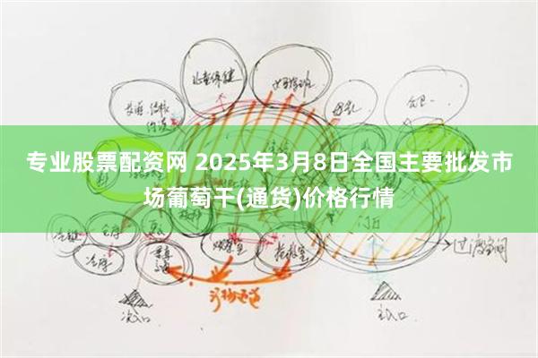 专业股票配资网 2025年3月8日全国主要批发市场葡萄干(通货)价格行情