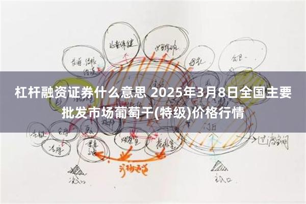 杠杆融资证券什么意思 2025年3月8日全国主要批发市场葡萄干(特级)价格行情