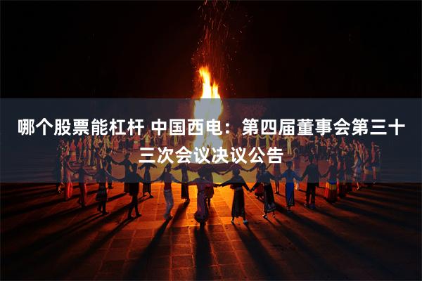 哪个股票能杠杆 中国西电：第四届董事会第三十三次会议决议公告